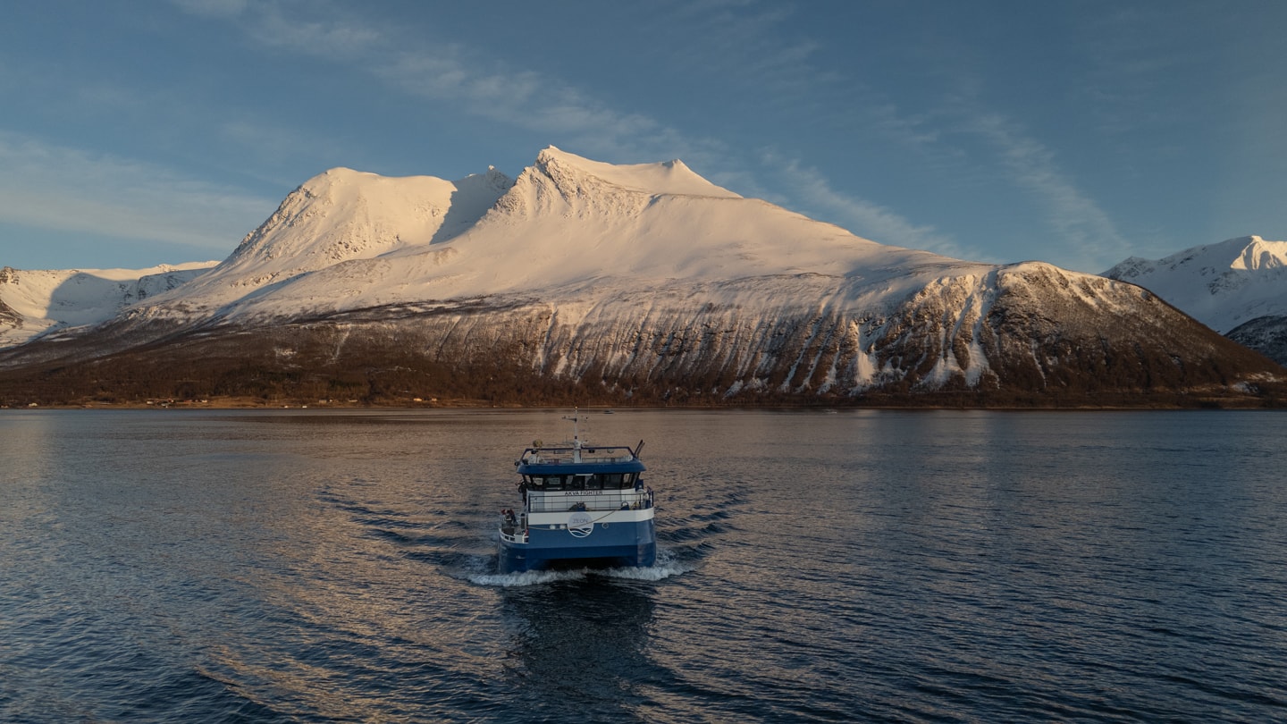 MS Akva Fighter sett forfra på fjorden